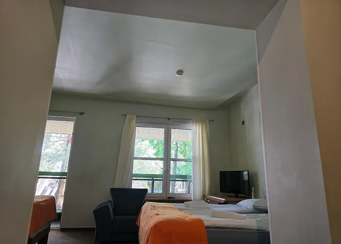 בית הארחה Promenade 3*