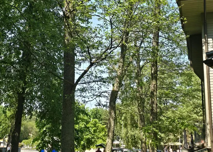 Promenade Гостевой дом Паланга